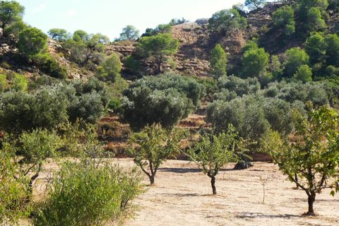 Finca i Maella, Zaragoza, Maella - € 69.000 | Ref: 1081 - foto 28
