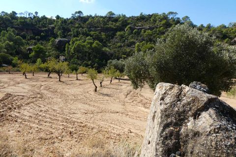 Finca i Maella, Zaragoza, Maella - € 69.000 | Ref: 1081 - foto 22