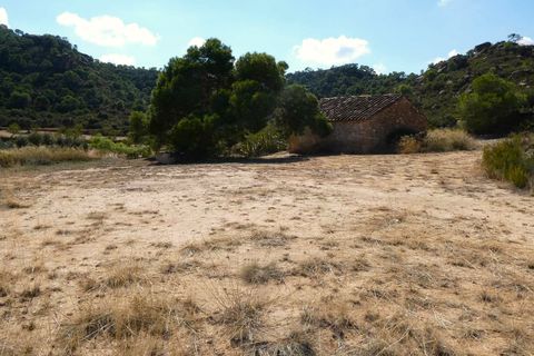 Finca i Maella, Zaragoza, Maella - € 69.000 | Ref: 1081 - foto 35
