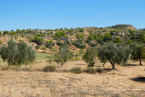 Finca i Maella, Zaragoza, Maella - € 69.000 | Ref: 1081 - foto 41