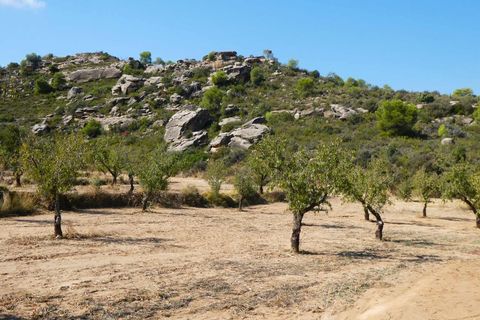 Finca i Maella, Zaragoza, Maella - € 69.000 | Ref: 1081 - foto 29