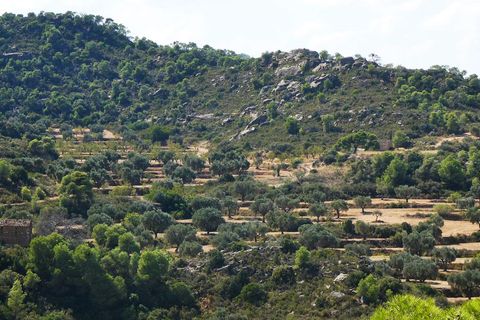 Finca i Maella, Zaragoza, Maella - € 69.000 | Ref: 1081 - foto 47