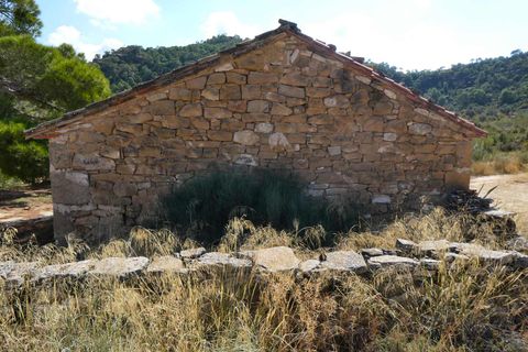 Finca i Maella, Zaragoza, Maella - € 69.000 | Ref: 1081 - foto 6
