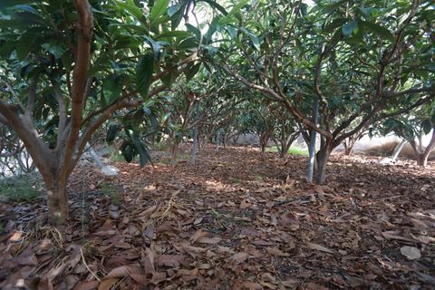 Helårsgrund i Molvizar, Granada, Molvizar - € 50.000 | Ref: MLVC565 - foto 3