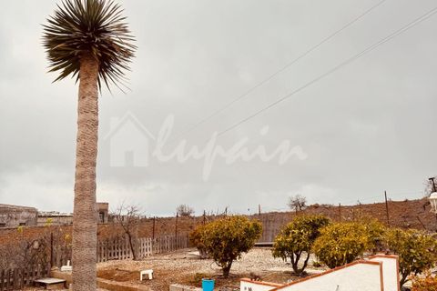Landejendom i Vilaflor, Tenerife, Vilaflor - € 210.000 | Ref: LP4451 - foto 8