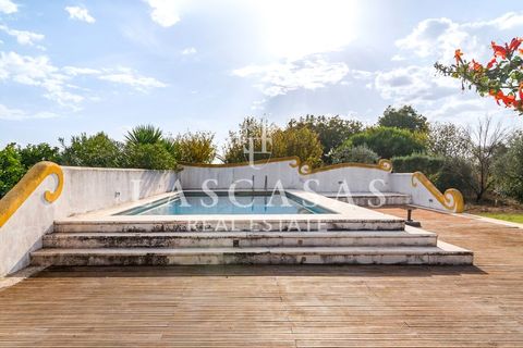 Farm i Arcos, Evora, Arcos - € 1.050.000 | Ref: #111-2025 - foto 36