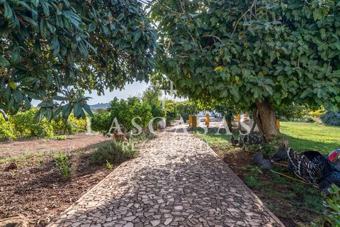 Farm i Arcos, Evora, Arcos - € 1.050.000 | Ref: #111-2025 - foto 37