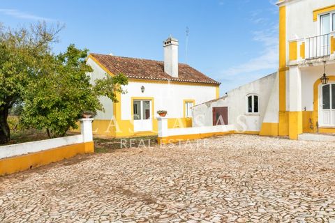 Farm i Arcos, Evora, Arcos - € 1.050.000 | Ref: #111-2025 - foto 42