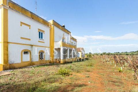 Farm i Arcos, Evora, Arcos - € 1.050.000 | Ref: #111-2025 - foto 44