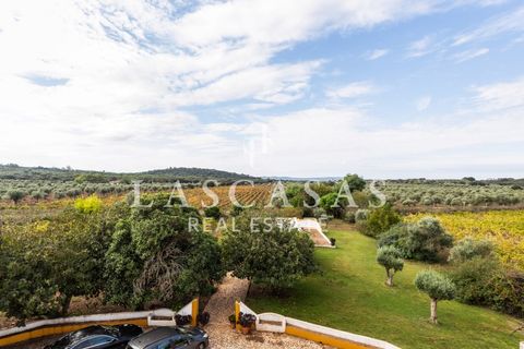 Farm i Arcos, Evora, Arcos - € 1.050.000 | Ref: #111-2025 - foto 45