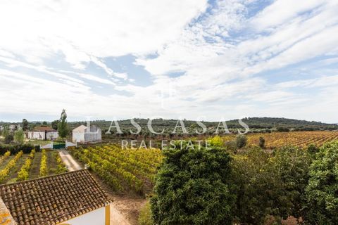 Farm i Arcos, Evora, Arcos - € 1.050.000 | Ref: #111-2025 - foto 46