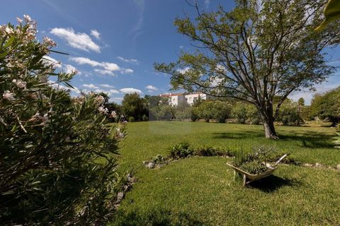Farm hus i Alcabideche, Lisbon, Alcabideche - € 1.450.000 | Ref: CAZ/05 - foto 4