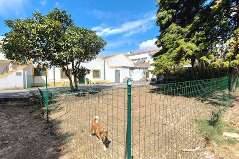 Farm hus i Alcabideche, Lisbon, Alcabideche - € 1.450.000 | Ref: CAZ/05 - foto 15