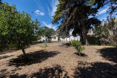 Farm hus i Alcabideche, Lisbon, Alcabideche - € 1.450.000 | Ref: CAZ/05 - foto 16