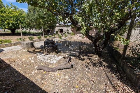 Farm hus i Alcabideche, Lisbon, Alcabideche - € 1.450.000 | Ref: CAZ/05 - foto 17