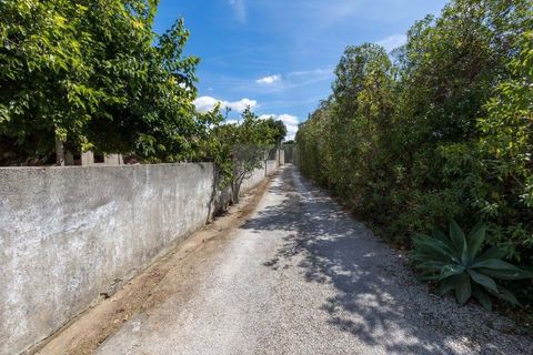 Farm hus i Alcabideche, Lisbon, Alcabideche - € 1.450.000 | Ref: CAZ/05 - foto 21