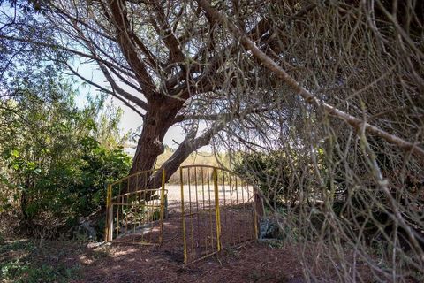 Farm hus i Alcabideche, Lisbon, Alcabideche - € 1.450.000 | Ref: CAZ/05 - foto 26