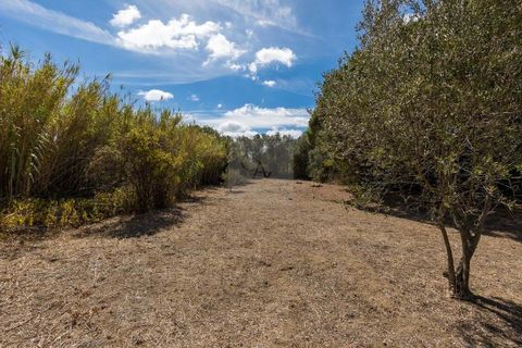 Farm hus i Alcabideche, Lisbon, Alcabideche - € 1.450.000 | Ref: CAZ/05 - foto 28