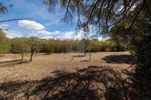 Farm hus i Alcabideche, Lisbon, Alcabideche - € 1.450.000 | Ref: CAZ/05 - foto 29
