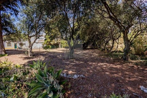 Farm hus i Alcabideche, Lisbon, Alcabideche - € 1.450.000 | Ref: CAZ/05 - foto 31