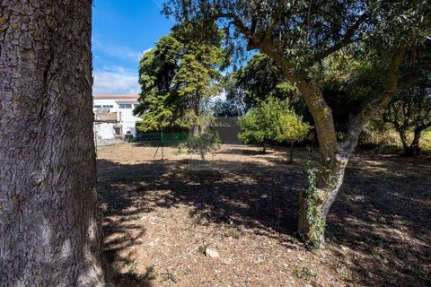 Farm hus i Alcabideche, Lisbon, Alcabideche - € 1.450.000 | Ref: CAZ/05 - foto 32