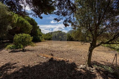 Farm hus i Alcabideche, Lisbon, Alcabideche - € 1.450.000 | Ref: CAZ/05 - foto 33