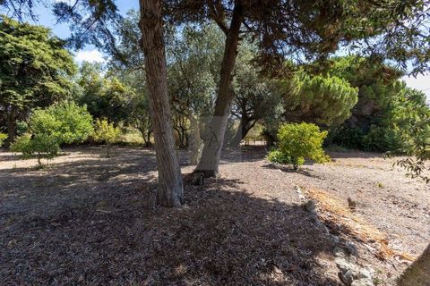 Farm hus i Alcabideche, Lisbon, Alcabideche - € 1.450.000 | Ref: CAZ/05 - foto 34