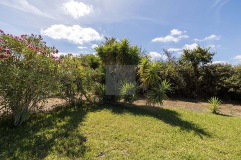 Farm hus i Alcabideche, Lisbon, Alcabideche - € 1.450.000 | Ref: CAZ/05 - foto 37