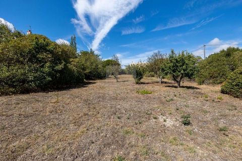 Farm hus i Alcabideche, Lisbon, Alcabideche - € 1.450.000 | Ref: CAZ/05 - foto 41