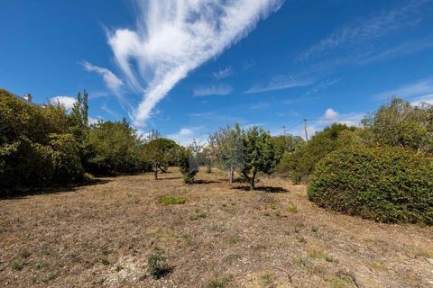 Farm hus i Alcabideche, Lisbon, Alcabideche - € 1.450.000 | Ref: CAZ/05 - foto 42