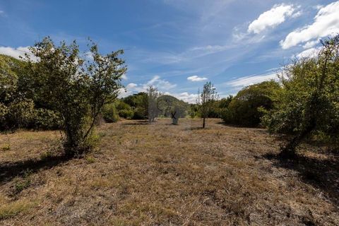Farm hus i Alcabideche, Lisbon, Alcabideche - € 1.450.000 | Ref: CAZ/05 - foto 44
