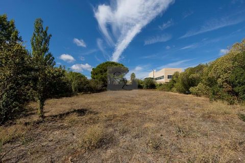 Farm hus i Alcabideche, Lisbon, Alcabideche - € 1.450.000 | Ref: CAZ/05 - foto 45