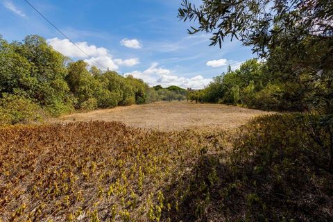Farm hus i Alcabideche, Lisbon, Alcabideche - € 1.450.000 | Ref: CAZ/05 - foto 46