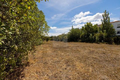 Farm hus i Alcabideche, Lisbon, Alcabideche - € 1.450.000 | Ref: CAZ/05 - foto 47