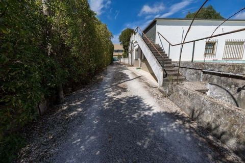 Farm hus i Alcabideche, Lisbon, Alcabideche - € 1.450.000 | Ref: CAZ/05 - foto 49