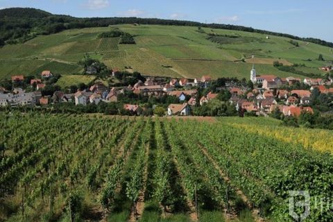 Leilighet i Barr, Bas-Rhin, Barr - € 249 900 | Ref: fr064192 - foto 3