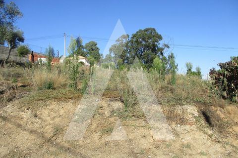 Helårsgrund i Oia, Aveiro, Oia - € 15.000 | Ref: 1051359/25 OB - foto 3