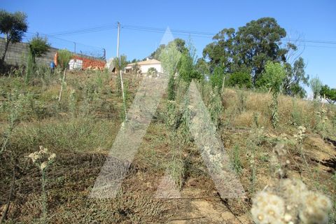 Helårsgrund i Oia, Aveiro, Oia - € 15.000 | Ref: 1051359/25 OB - foto 4