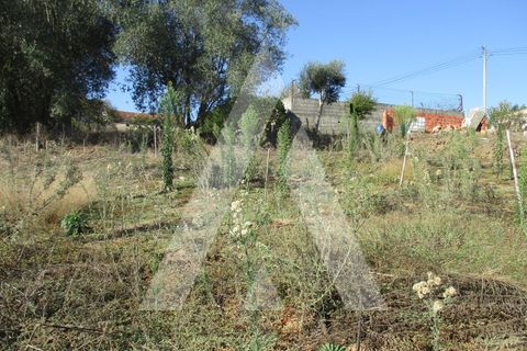 Helårsgrund i Oia, Aveiro, Oia - € 15.000 | Ref: 1051359/25 OB - foto 5