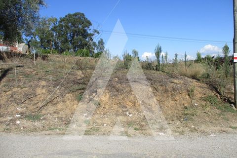 Helårsgrund i Oia, Aveiro, Oia - € 15.000 | Ref: 1051359/25 OB - foto 6