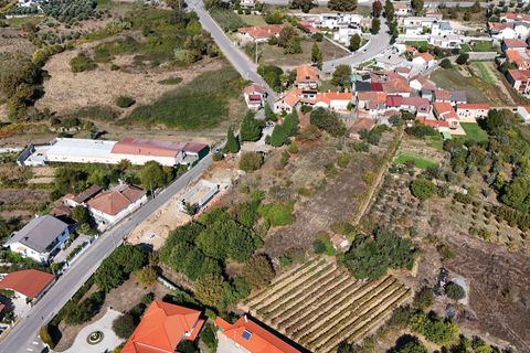 Helårsgrund i Abraveses, Viseu, Abraveses - € 45.000 | Ref: C0203-02526 - foto 2