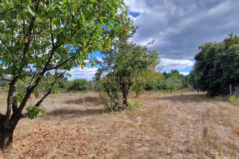 Helårsgrund i Abraveses, Viseu, Abraveses - € 45.000 | Ref: C0203-02526 - foto 4