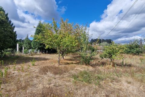 Helårsgrund i Abraveses, Viseu, Abraveses - € 45.000 | Ref: C0203-02526 - foto 5