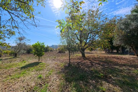 Helårsgrund i Abraveses, Viseu, Abraveses - € 45.000 | Ref: C0203-02526 - foto 6