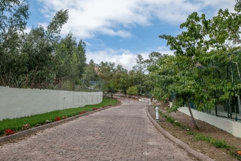 Villa a Maiorga, Leiria, Maiorga - € 1.350.000 | Ref: IRV2547 - foto 13