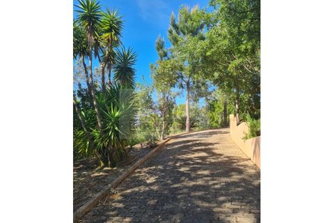 Villa a Maiorga, Leiria, Maiorga - € 1.350.000 | Ref: IRV2547 - foto 30