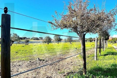 Villa i Elvas, Portalegre, Elvas - € 1.390.000 | Ref: KWPT-022680 - foto 36