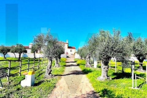 Villa i Elvas, Portalegre, Elvas - € 1.390.000 | Ref: KWPT-022680 - foto 39