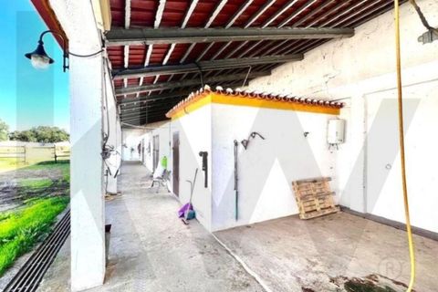Villa i Elvas, Portalegre, Elvas - € 1.390.000 | Ref: KWPT-022680 - foto 46