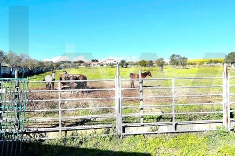 Villa i Elvas, Portalegre, Elvas - € 1.390.000 | Ref: KWPT-022680 - foto 48